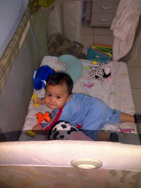 Hi!#|#|#Reinard (7 months) belajar merangkak dan merambat|||0.8